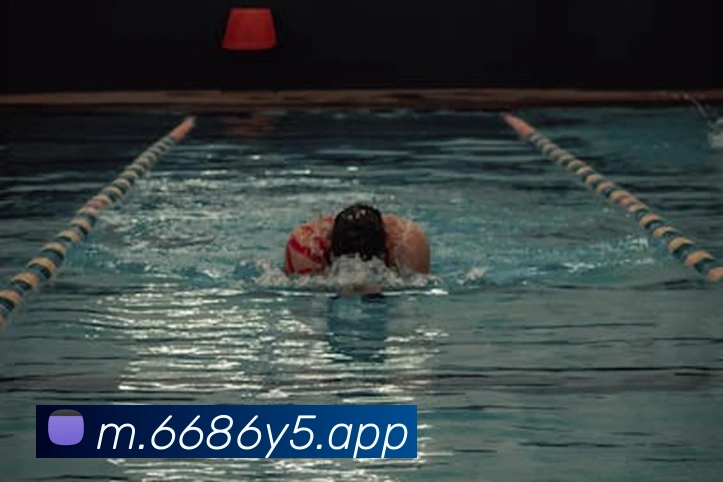 对战数据统计